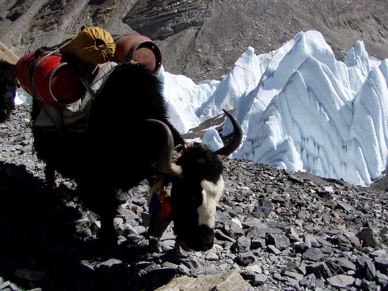 Everest-June-16,-4-029