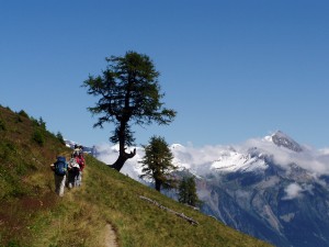 Tour du Mont blanc