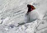 Ross Telemark Ski Guide